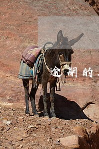 逾期的助学贷款还了 逾期的助学贷款还了