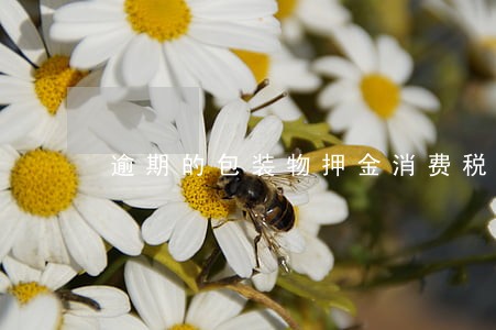 逾期的包装物押金消费税 逾期的包装物押金消费税