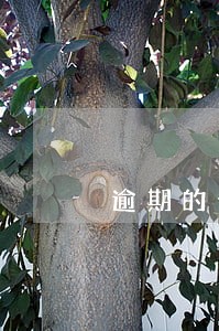 逾期的卡不想消除 逾期的卡不想消除