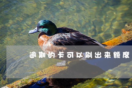 逾期的卡可以刷出来额度吗 逾期的卡可以刷出来额度吗