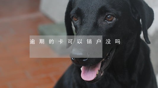 逾期的卡可以销户没吗 逾期的卡可以销户没吗