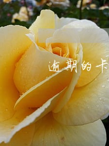 逾期的卡片还款进去能恢复吗 逾期的卡片还款进去能恢复吗
