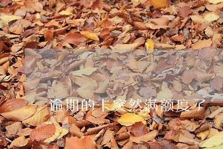 逾期的卡突然满额度了 逾期的卡突然满额度了