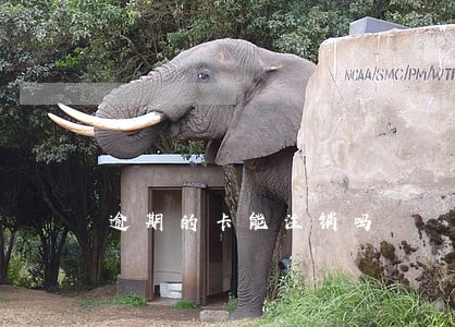 逾期的卡能注销吗