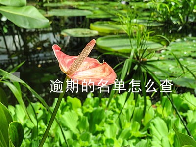 逾期的名单怎么查