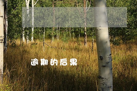 逾期的后果