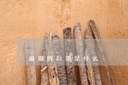 逾期的后果是什么 逾期的后果是什么