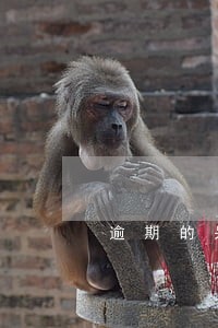 逾期的呆账以后会利滚利吗 逾期的呆账以后会利滚利吗