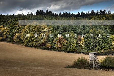 逾期的增值税专用票怎么处理