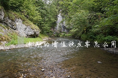 逾期的增值税发票怎么用