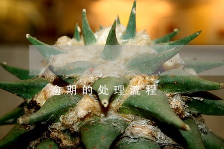 逾期的处理流程