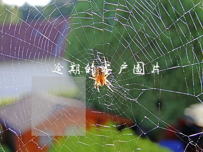 逾期的客户图片 逾期的客户图片