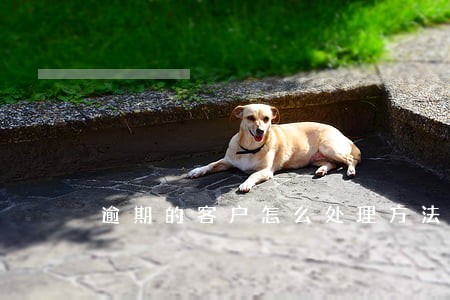 逾期的客户怎么处理方法 逾期的客户怎么处理方法