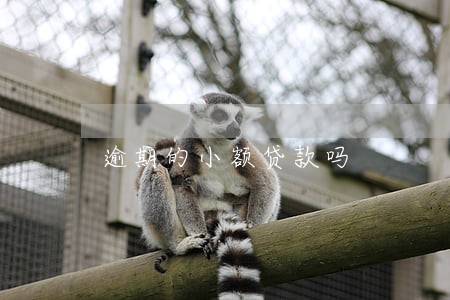 逾期的小额贷款吗 逾期的小额贷款吗