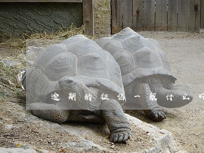 逾期的征信一般什么时候恢复 逾期的征信一般什么时候恢复