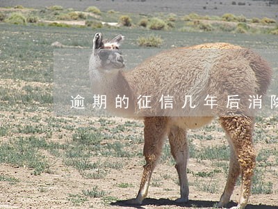 逾期的征信几年后消除 逾期的征信几年后消除