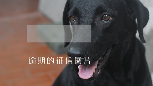 逾期的征信图片 逾期的征信图片