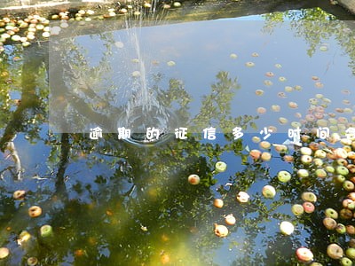 逾期的征信多少时间会显示 逾期的征信多少时间会显示