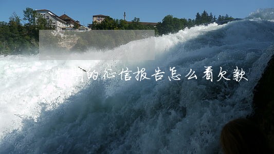 逾期的征信报告怎么看欠款 逾期的征信报告怎么看欠款