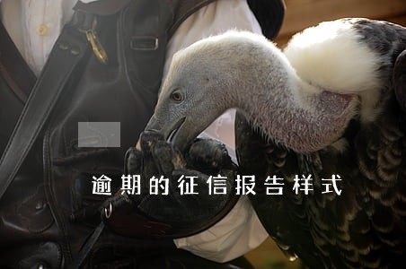 逾期的征信报告样式 逾期的征信报告样式