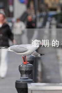 逾期的征信记录保存几年 逾期的征信记录保存几年
