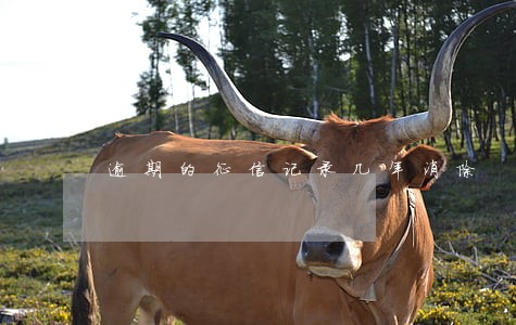 逾期的征信记录几年消除 逾期的征信记录几年消除