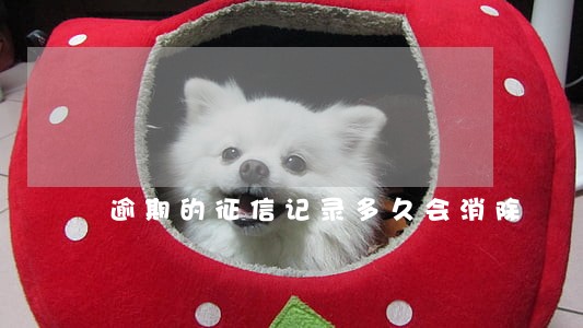 逾期的征信记录多久会消除 逾期的征信记录多久会消除