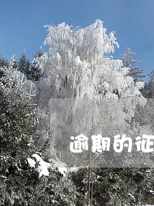 逾期的征信记录怎么消除 逾期的征信记录怎么消除