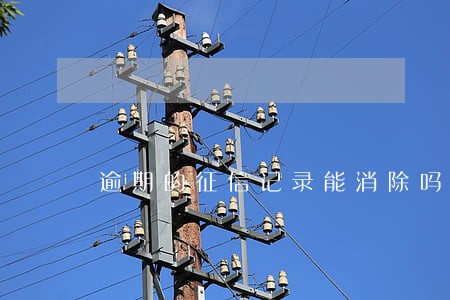 逾期的征信记录能消除吗 逾期的征信记录能消除吗