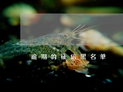 逾期的征信黑名单 逾期的征信黑名单