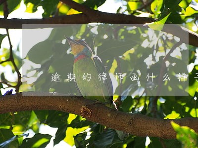 逾期的律师函什么样子