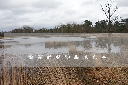 逾期的律师函怎么办 逾期的律师函怎么办