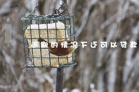 逾期的情况下还可以贷款吗 逾期的情况下还可以贷款吗