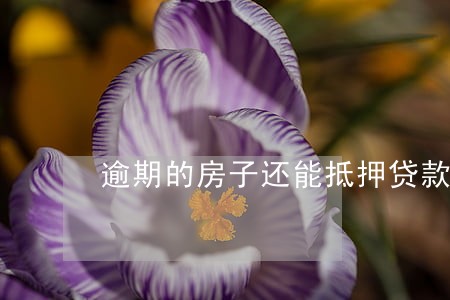 逾期的房子还能抵押贷款吗 逾期的房子还能抵押贷款吗
