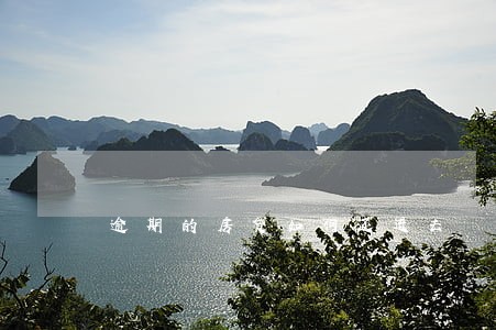逾期的房贷如何还进去 逾期的房贷如何还进去