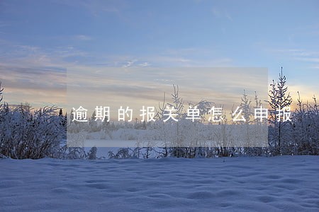 逾期的报关单怎么申报 逾期的报关单怎么申报