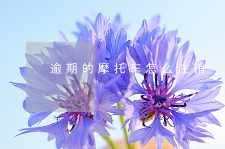 逾期的摩托车怎么注销 逾期的摩托车怎么注销