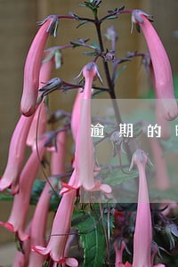 逾期的时间一天可以审请消除 逾期的时间一天可以审请消除