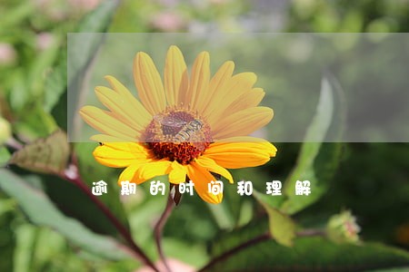 逾期的时间和理解 逾期的时间和理解