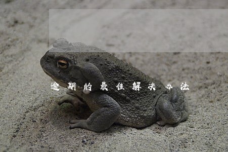 逾期的最佳解决办法 逾期的最佳解决办法