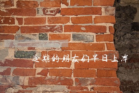 逾期的朋友们早日上岸 逾期的朋友们早日上岸