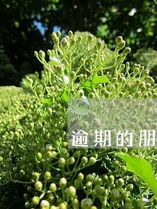 逾期的朋友做的事情 逾期的朋友做的事情