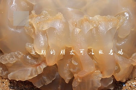 逾期的朋友可以报名吗 逾期的朋友可以报名吗