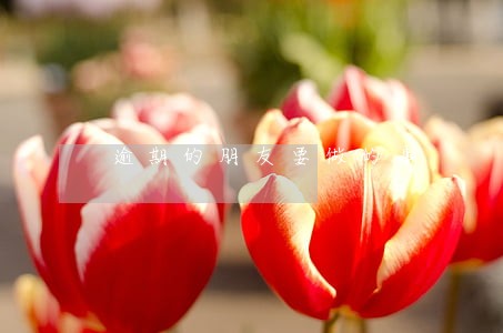 逾期的朋友要做的事 逾期的朋友要做的事