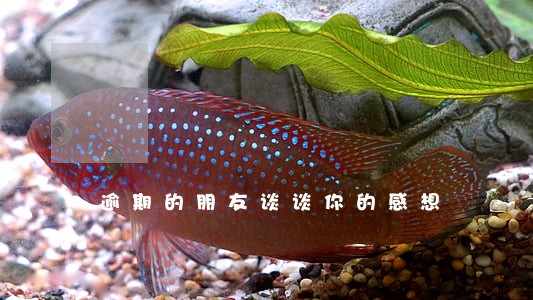 逾期的朋友谈谈你的感想 逾期的朋友谈谈你的感想
