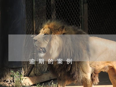 逾期的案例