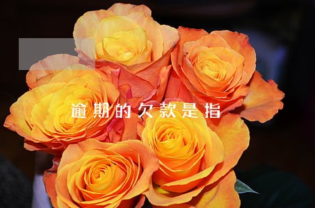 逾期的欠款是指