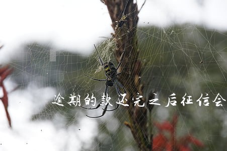 逾期的款还完之后征信会不会恢复 逾期的款还完之后征信会不会恢复