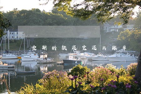 逾期的款还完还出账单