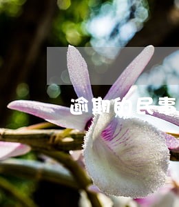 逾期的民事后果 逾期的民事后果